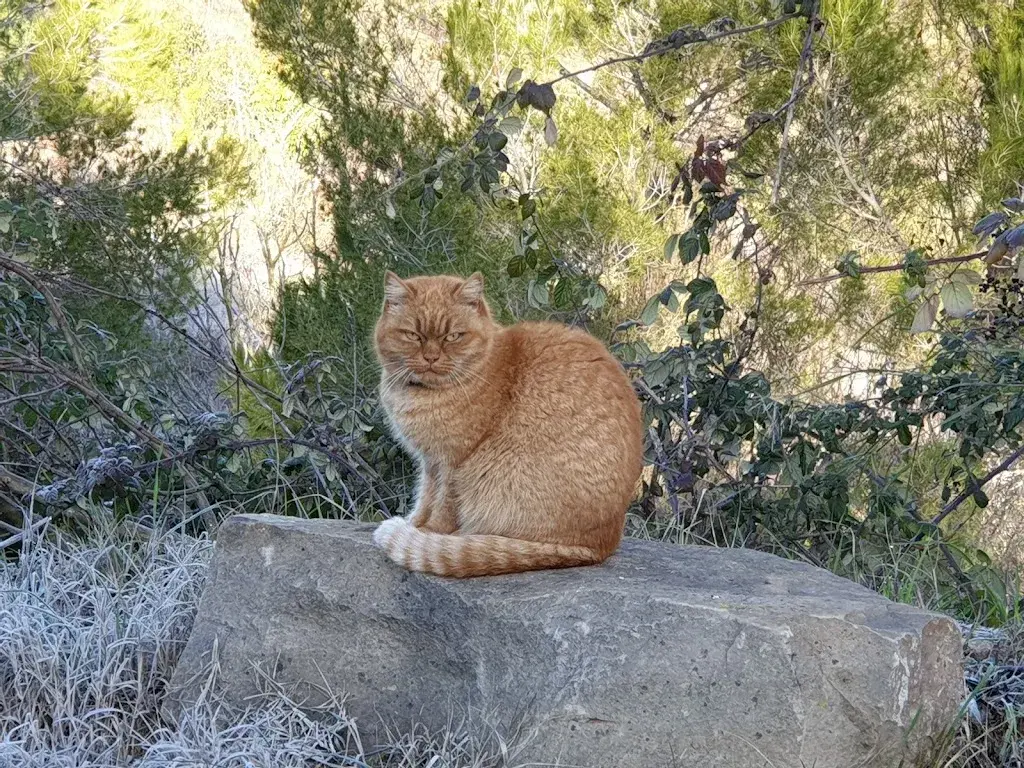 Montse_Estanc Castellgalí Cal Ferrer_Castellgalí_review