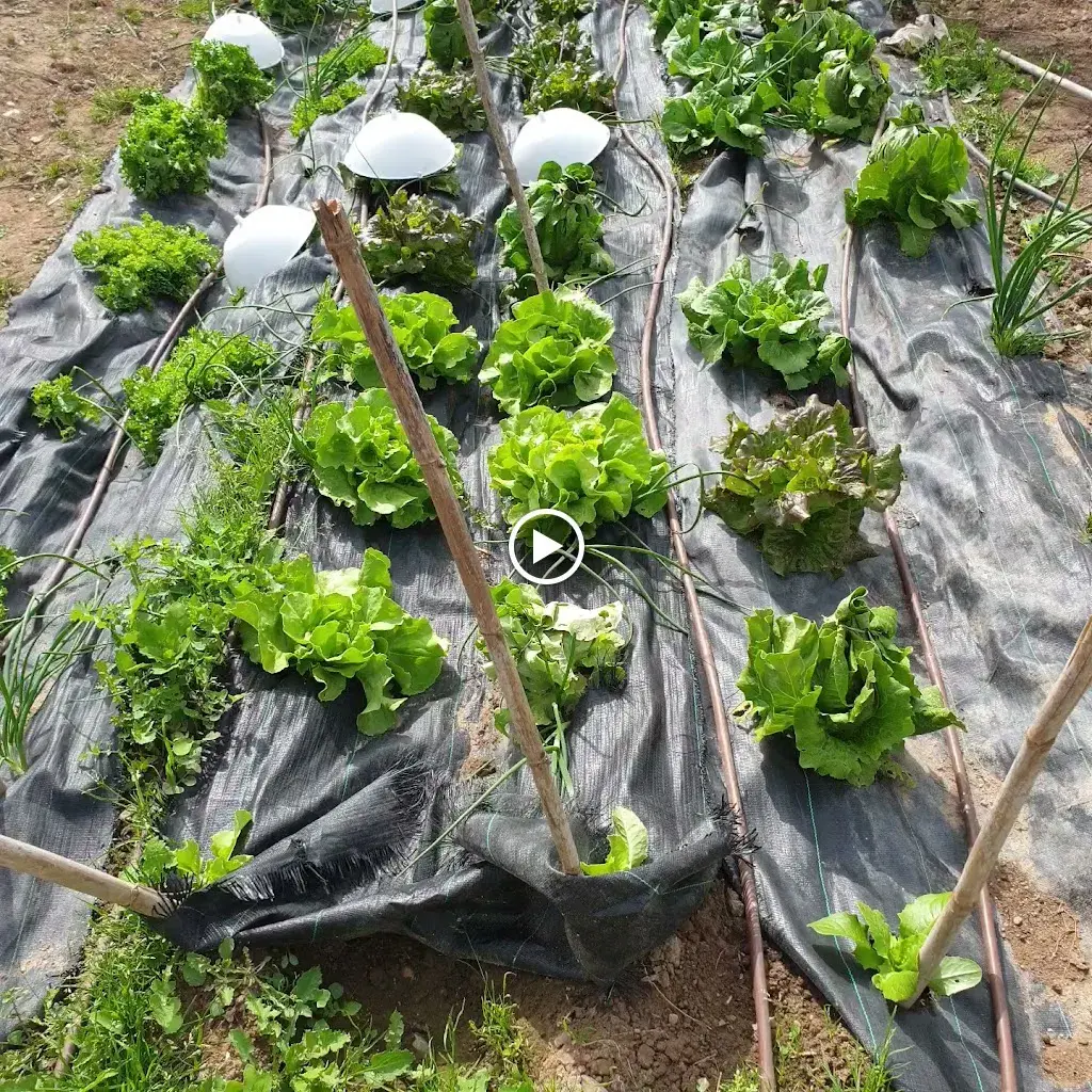 Can Fainé Restaurant On Demand_Castellgalí_slider_image_2