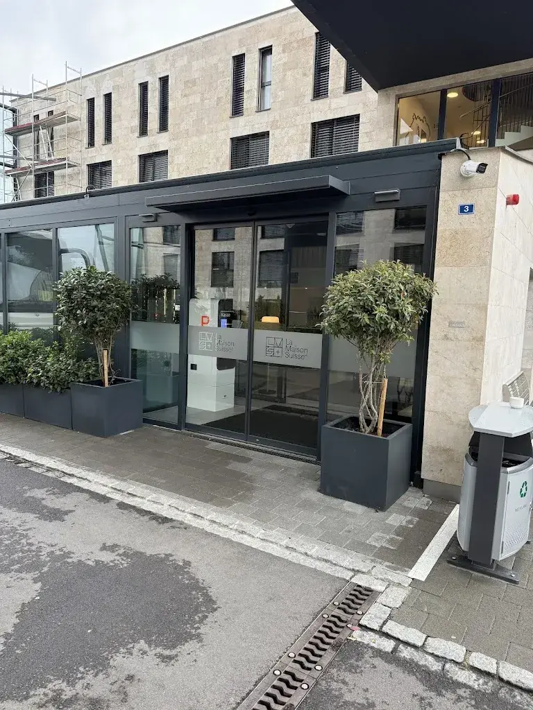 Sanjay Virmani_La Maison Suisse Döttingen_Döttingen_avis