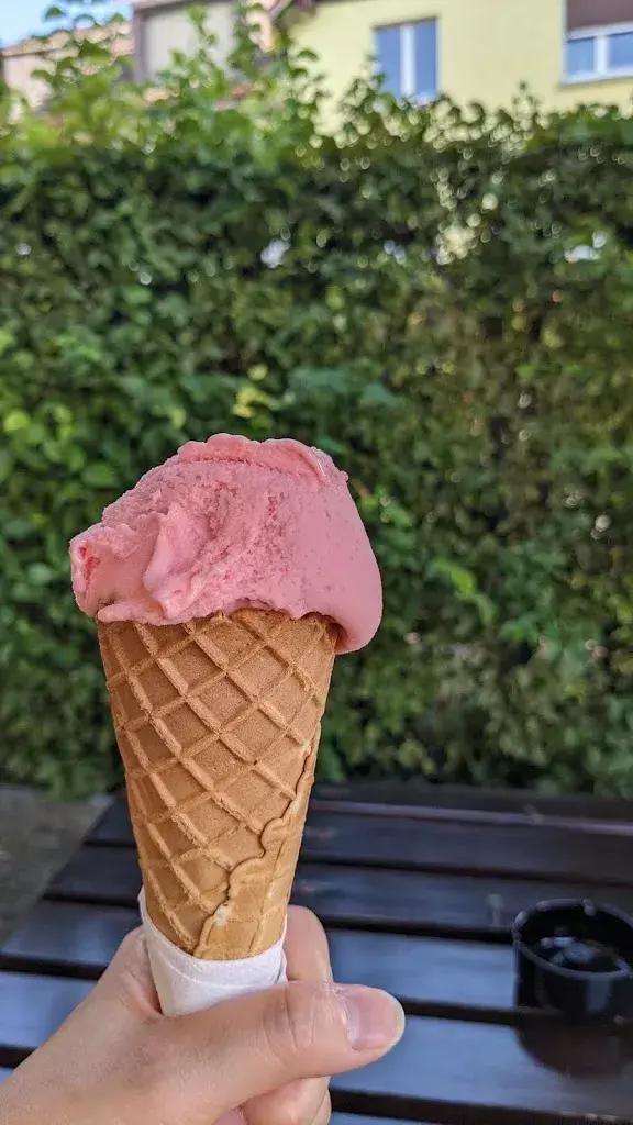 Venezia_Klingnau_menu_image_1