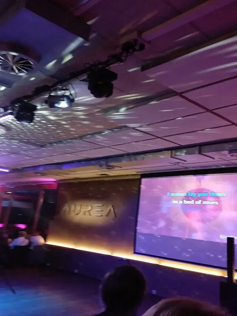 Stephan Ankli_AUREA_Rheinfelden_review