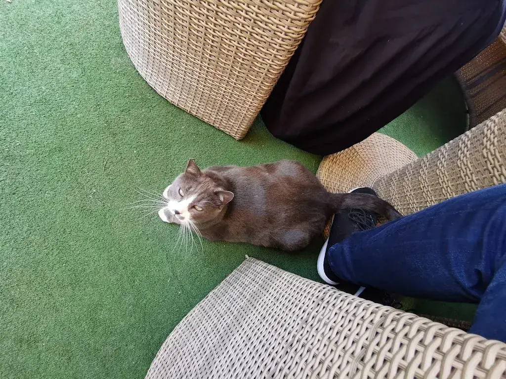 Patrick Rohner_La Cucina Italiana Restaurant Baselstab_Meinisberg_avis