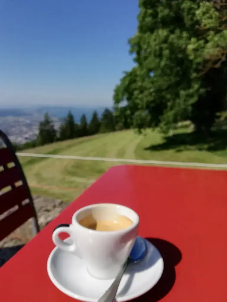 Menu_Restaurant Bözingenberg_Biel_image_5