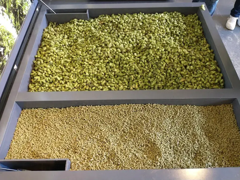 Menu_Brauerei Feldschlösschen_Rheinfelden_image_9