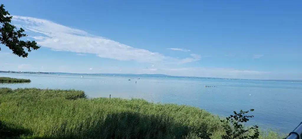 யனகன் தர்மகுலசிங்கம் (The truth)_Seerestaurant Buchhorn_Arbon_recensione