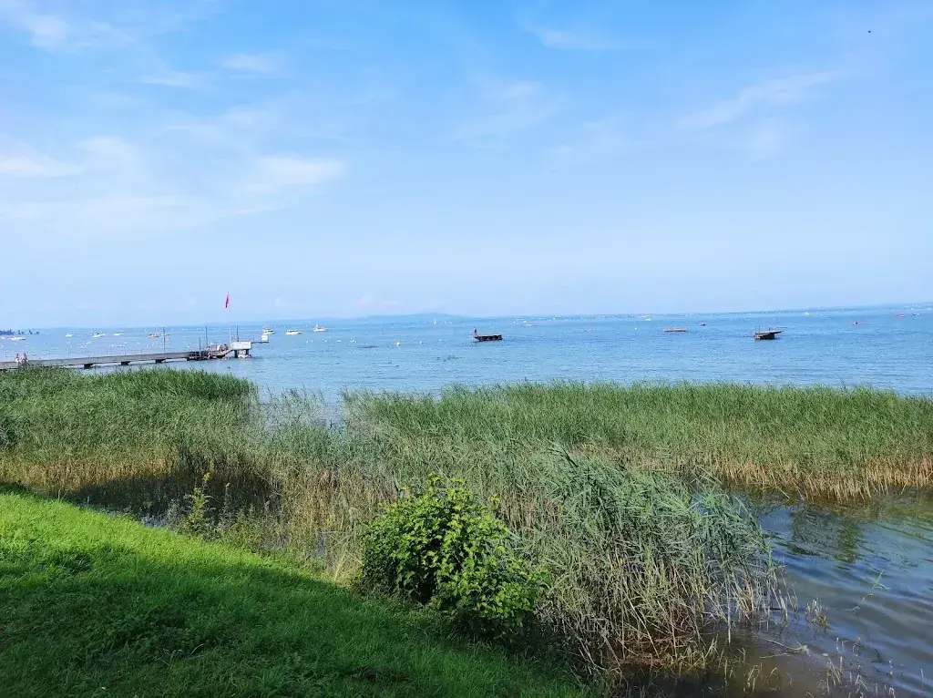 Velickovic Zoran_Seerestaurant Buchhorn_Arbon_recensione