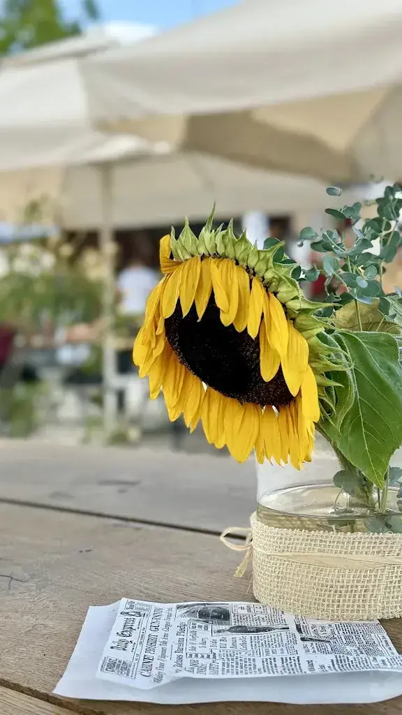 Dmitry B._Station 9322, Route 66_Egnach_review