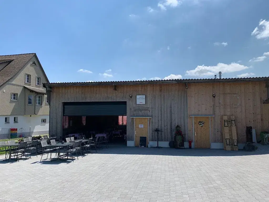 Cornelius Fischer_Gigis Refugium - Trudis Remise_Hefenhofen_review