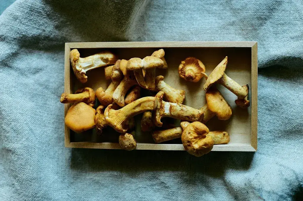 Menu_Eventlokal WEIN und SO_Erlen_image_2