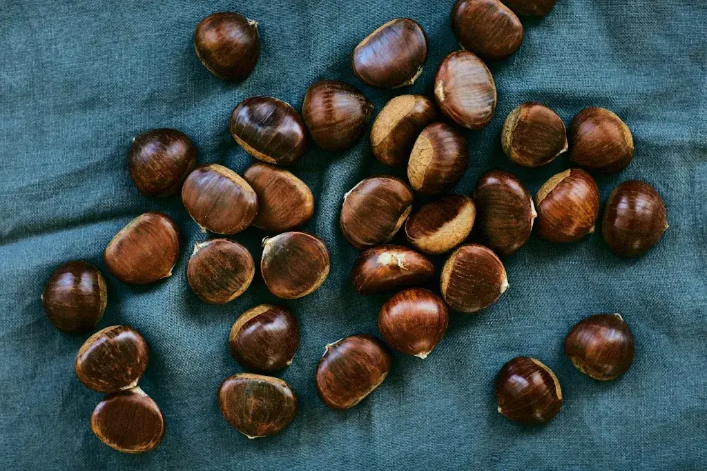 Menu_Eventlokal WEIN und SO_Erlen_image_3