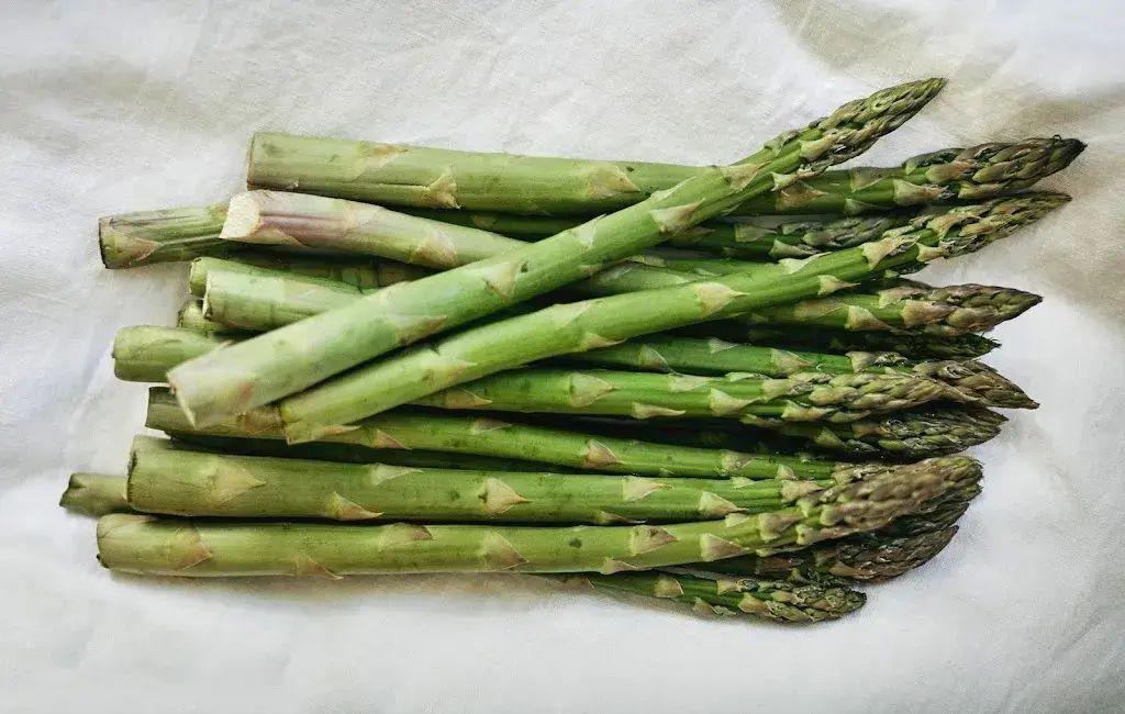 Menu_Eventlokal WEIN und SO_Erlen_image_6