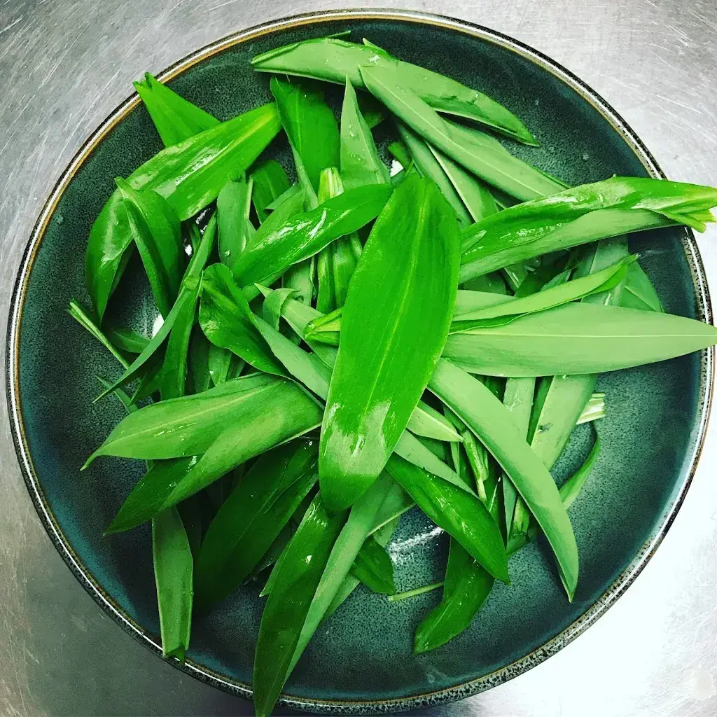 Menu_Eventlokal WEIN und SO_Erlen_image_7