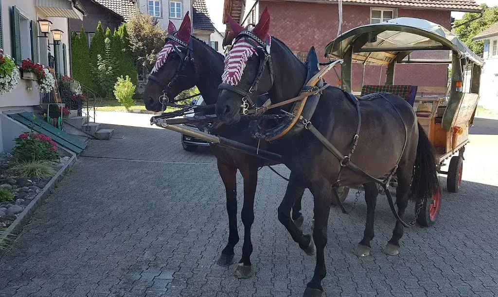 Detlef Kesselring_Restaurant Sonne_Wilen_recensione