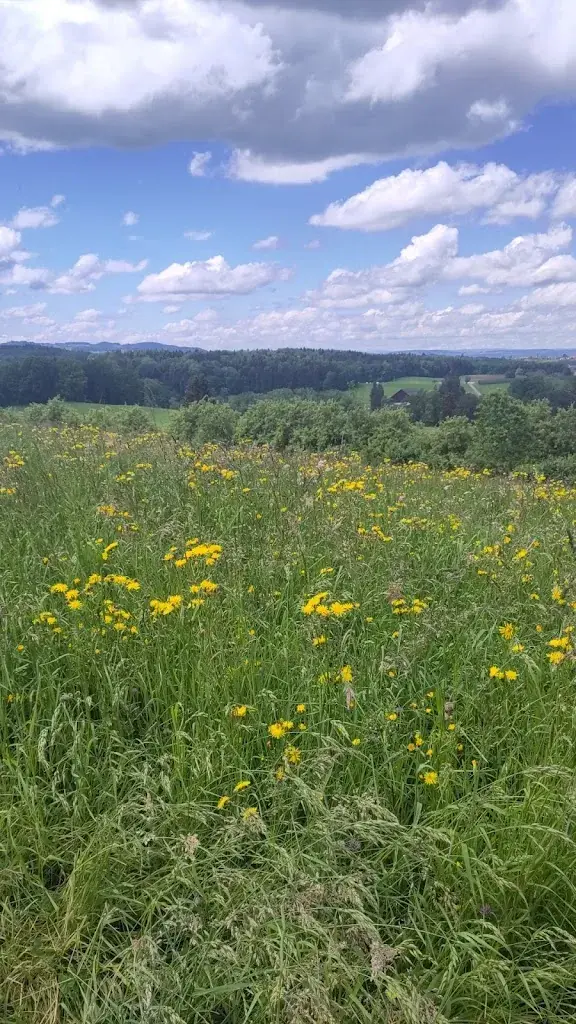 Patrick Biber_Beiz Frohburg_Wilen (Gottshaus)_Bewertung
