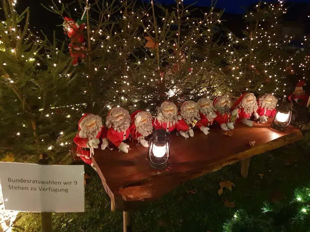 Irma Ehrensberger_Chlausstübli_Götighofen_review