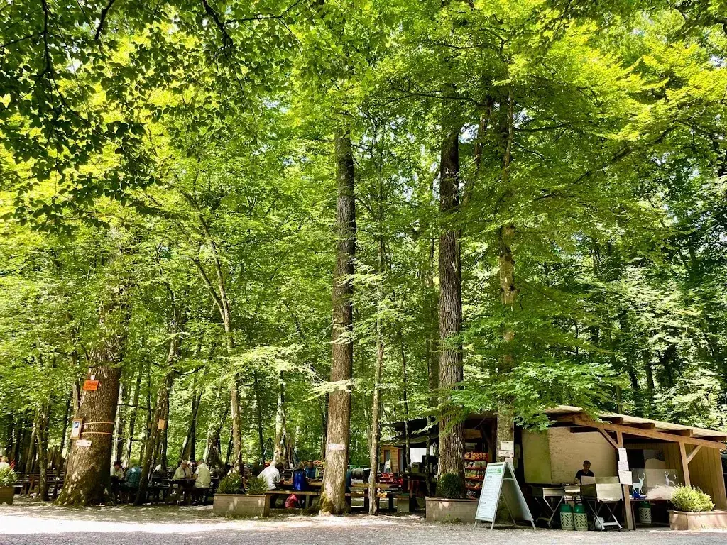 Oliver Taubert_Waldschenke_Romanshorn_review