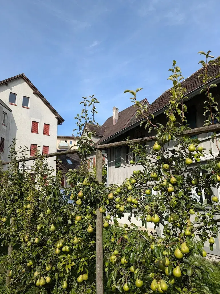 Kathleen McSorley_Fischerhäuser Romanshorn_Romanshorn_recensione