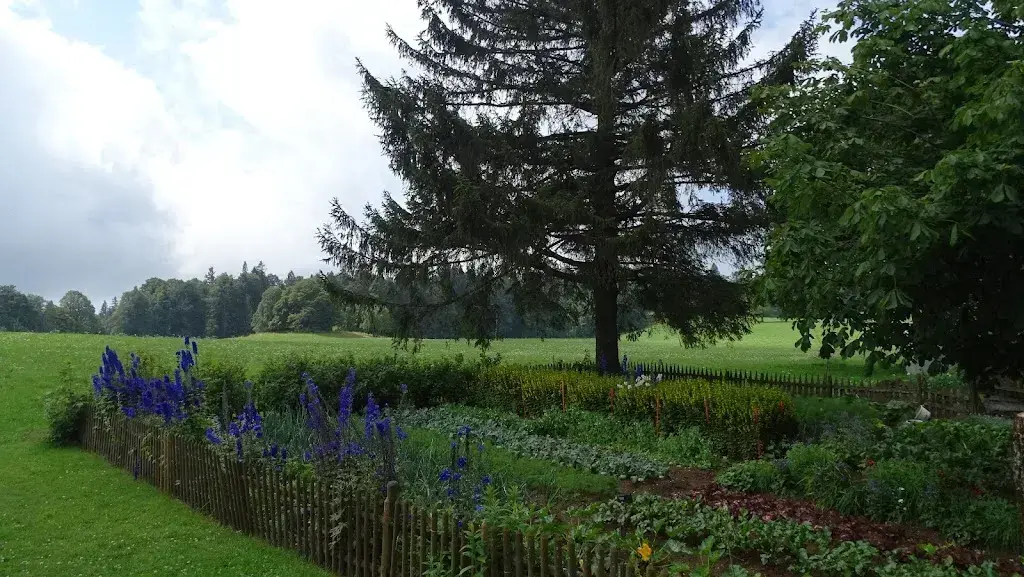 Uwe Häntsch_Harzer_Court_review