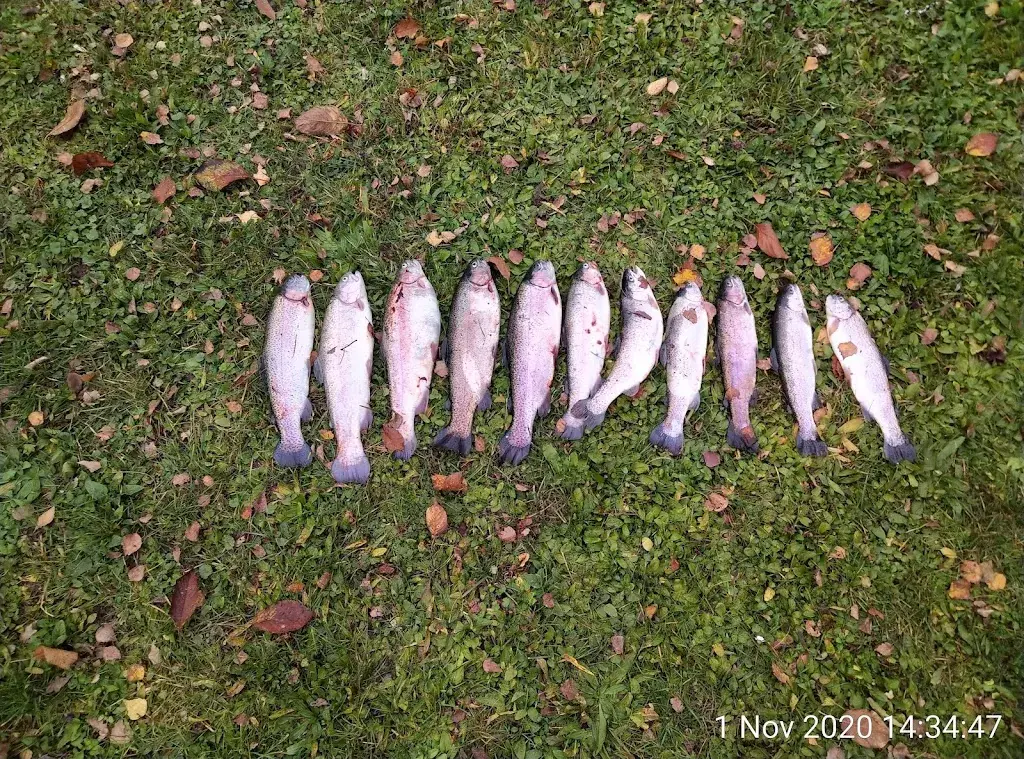 Suad Hatibovic_Restaurant & Events @ Quellpark Kundelfingerhof (Betrieb der Kronenhof AG)_Schlatt_review