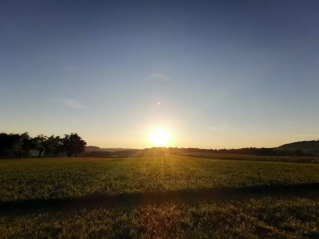 Claudio Kuenzler_Restaurant Freudenberg, Stettfurt_Stettfurt_review