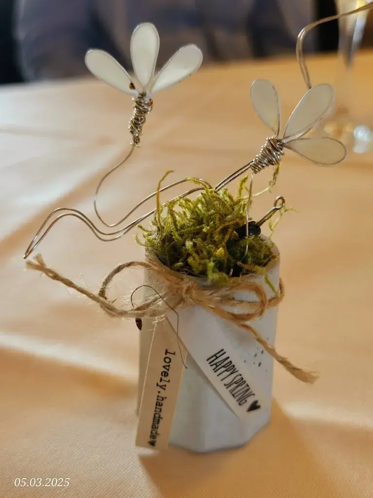 Moni H_Restaurant Freudenberg, Stettfurt_Stettfurt_review