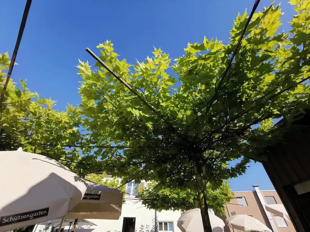 Claudio Kuenzler_Wirtschaft zum Obstgarten - IL FRUTTETO_Frauenfeld_recensione