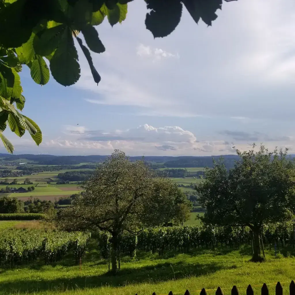 April A_Aussicht_Uesslingen-Buch_Bewertung