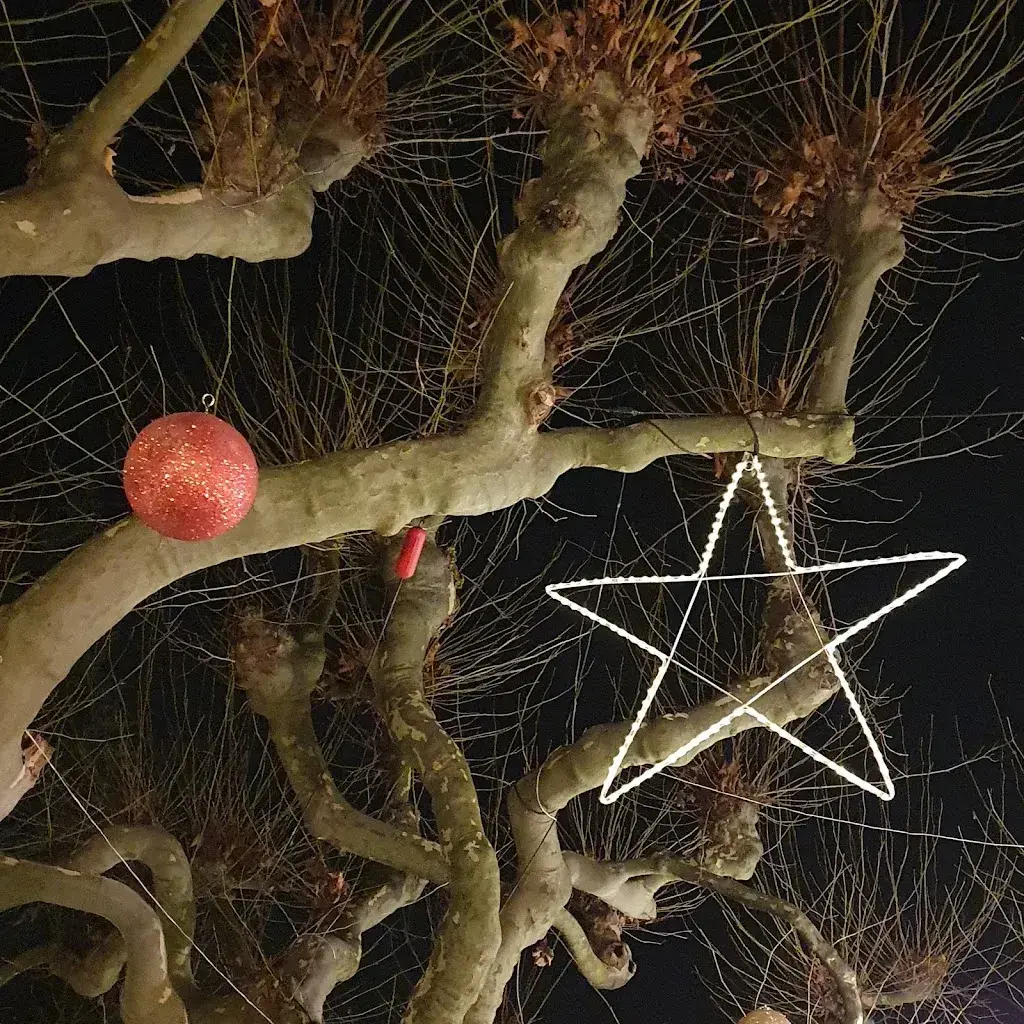 Michael Michael_Restaurant, Catering & Apéro`s Frohsinn Frauenfeld_Frauenfeld_recensione