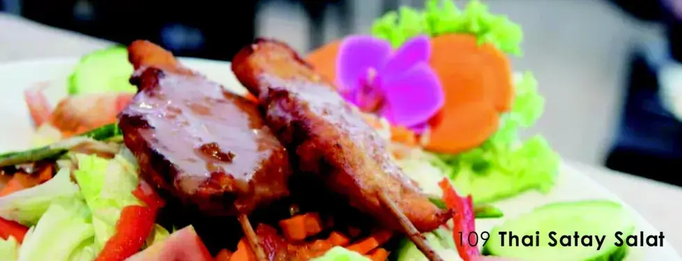 Menu_Thai Express_Frauenfeld_image_8