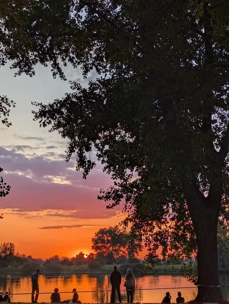 Oliver Labas_Kuhhorn Restaurant_Tägerwilen_review