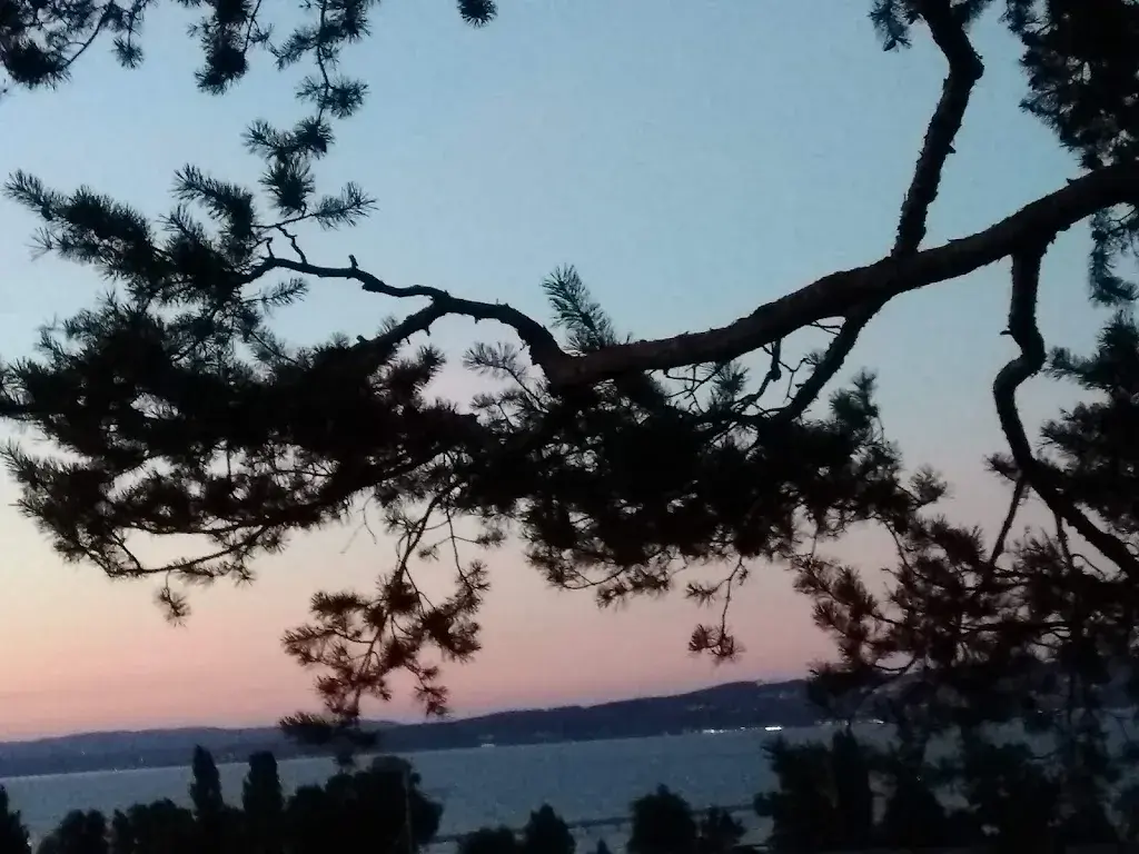 Karin Oberholzer_Restaurant Panorama_Altnau_review