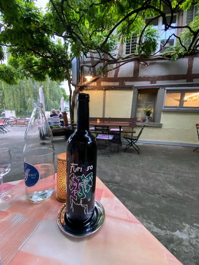 Amelia Meier_Seegarten_Ermatingen_recensione