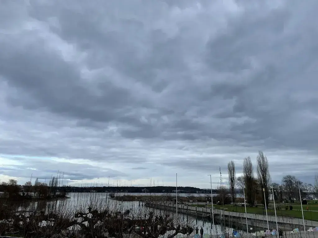 Oyndrila Roy_Hafenrestaurant Alti Badi_Kreuzlingen_review