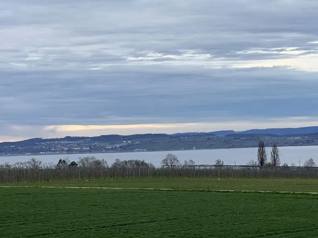 Tom H_Hotel Restaurant Seemöwe AG_Güttingen_review