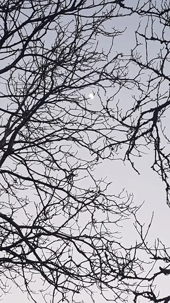 Detlef Kesselring_Jakobs Hütte_Güttingen_review