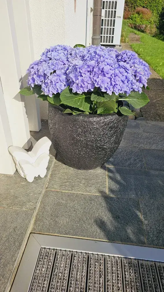 Inna Siebert_Blumen & Kaffee – by Marianne_Ermatingen_review