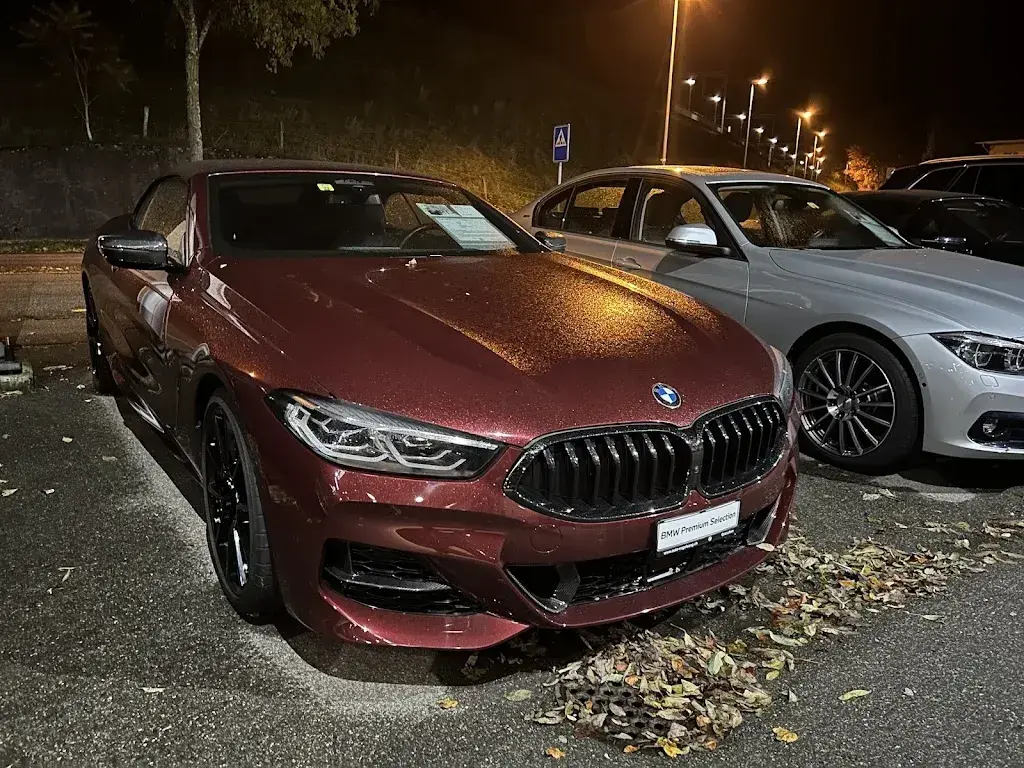 Rolf Philip_Palace Wetzikon Kino & Bistro-Bar_Wetzikon_review