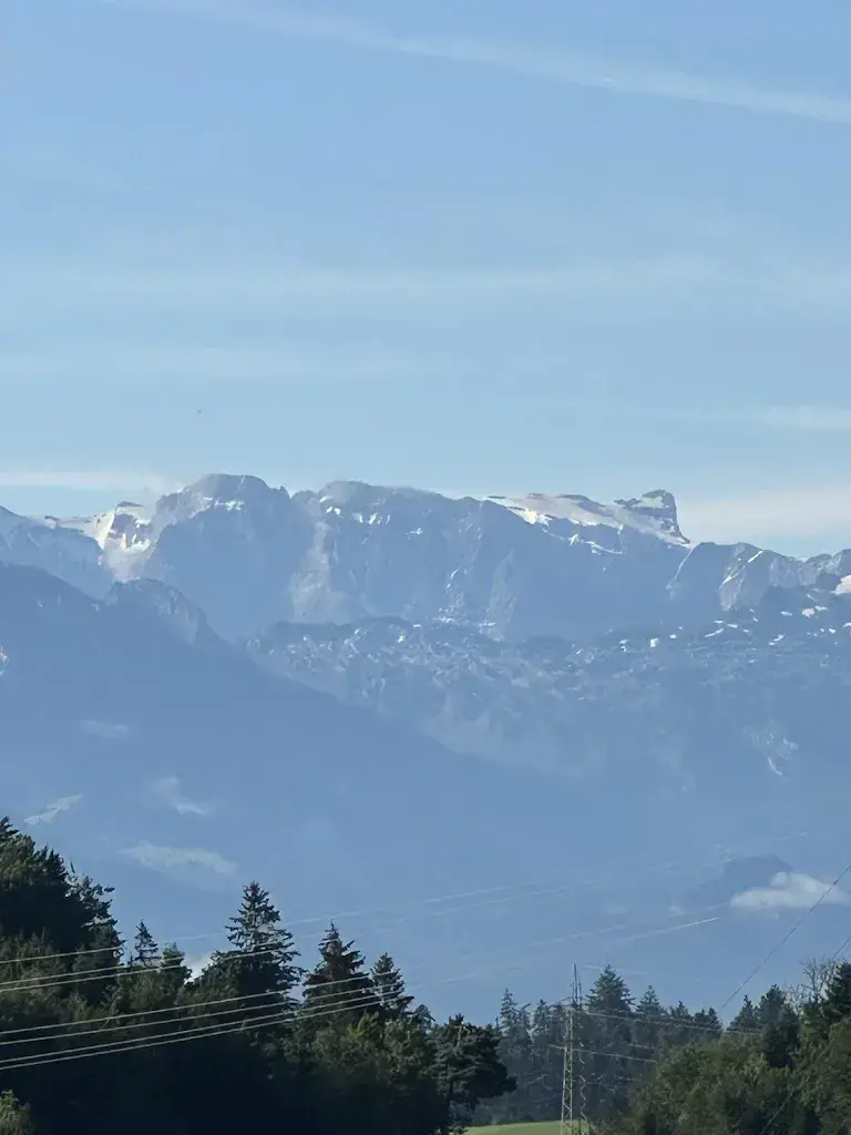 Alek Bynzar_Hotel Swiss Star_Wetzikon_review