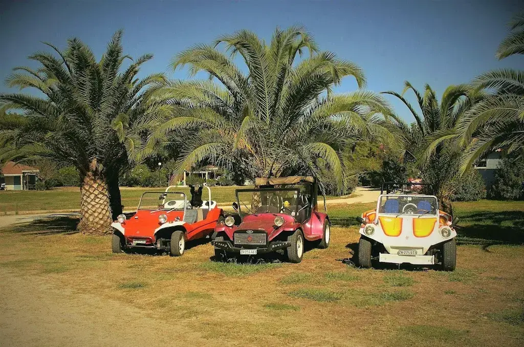 Rene Schuler_Bonanza_Amlikon-Bissegg_review