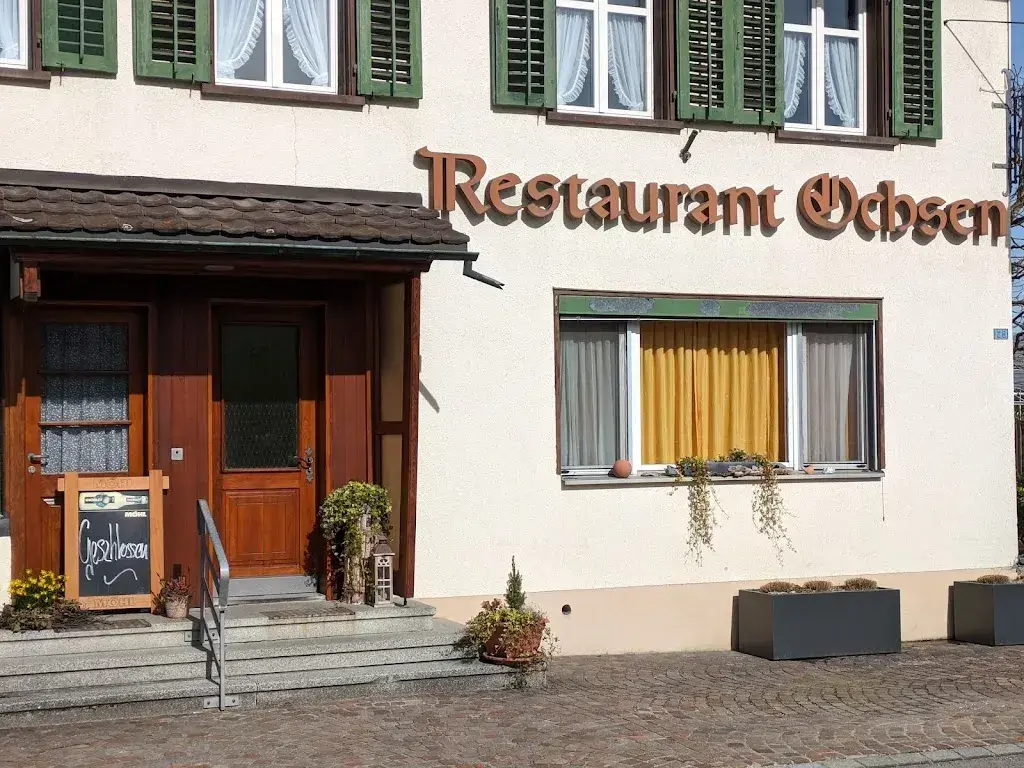 Cat Ambi_Ochsen_Braunau_review