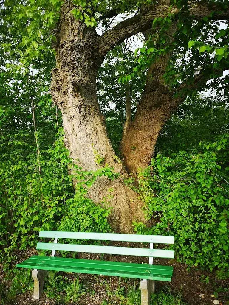 Andreas Steger_Restaurant Säge_Sirnach_review