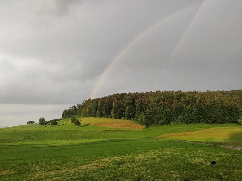 Daniel Kaiser_Aleria - essen, trinken, feiern_Busswil TG_review