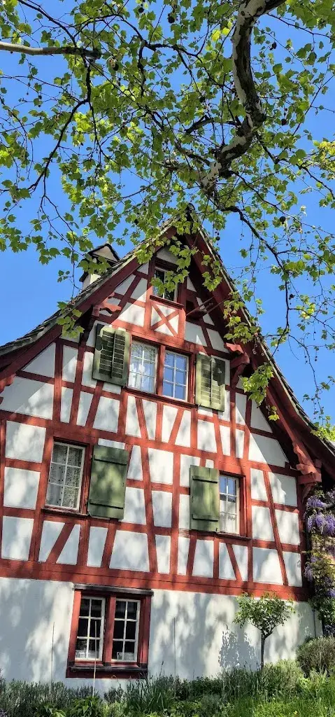 Mr. T_Weinberg_Ottoberg_review