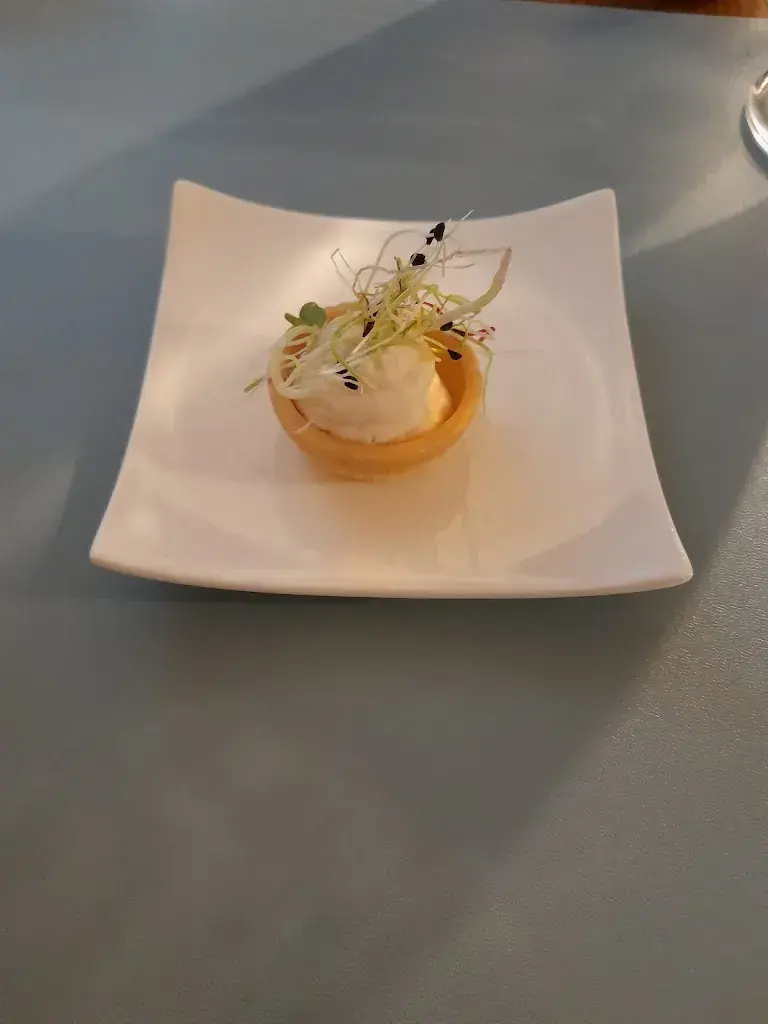 Morgan Maddox_Höchi_Hirzel_review