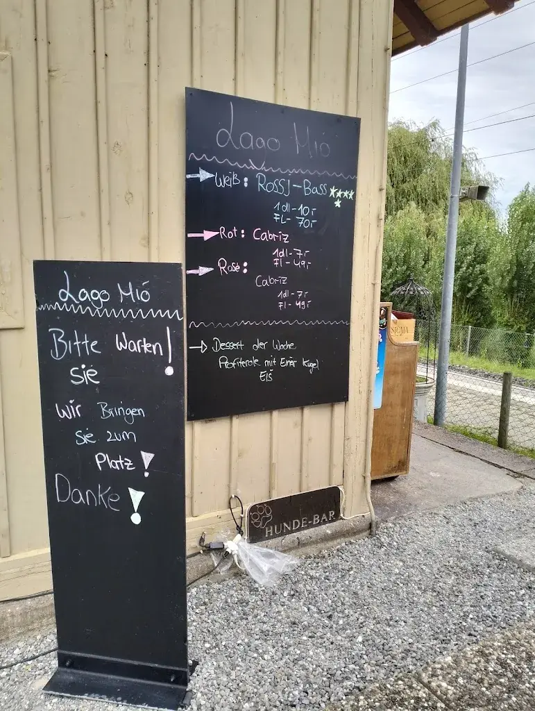 Gastro Lago Mio GMBH - Pizzeria Ristorante_Salenstein_menu_image_1