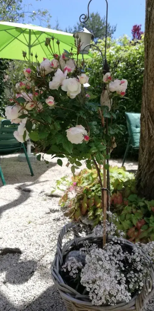 Romy Zbinden_Bäckerei-Cafe Chäppeli_Altbüron_recensione