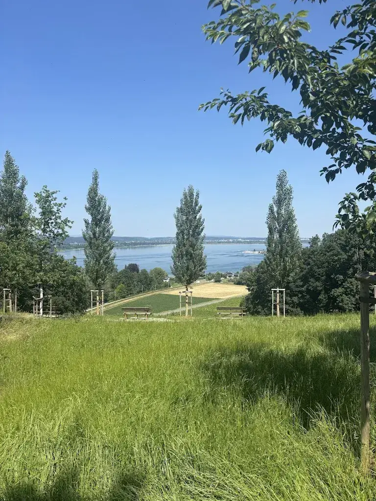 Daniel Oehry_Bistro Louis Napoléon Arenenberg_Salenstein_review