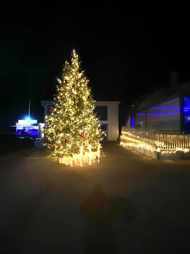 Dana Paris_Ficus Lounge Bar_Sementina_review