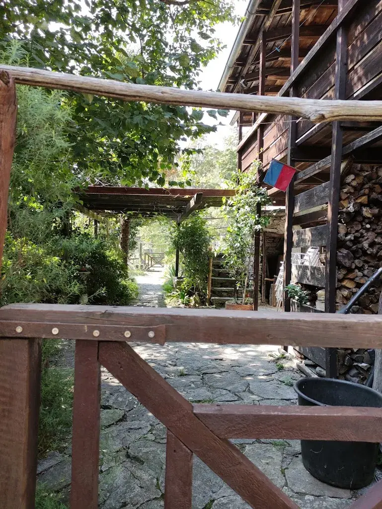 Evelyne Zoonemat_Ristorante Ostello Curzutt_Monte Carasso_review