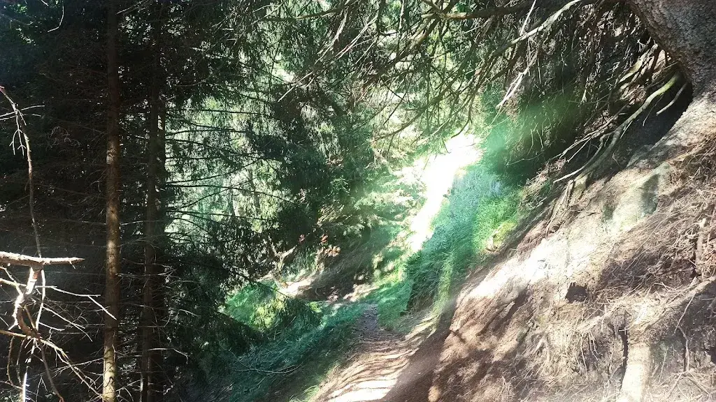 Andi Steinmann_Grotto Mornera_Monte Carasso_review